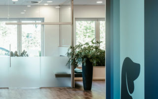 Projekte, JA Lichtprojekte, Innenbeleuchtung, Deckenleuchten